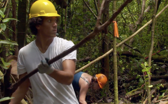 man in hard hat holds log in forest