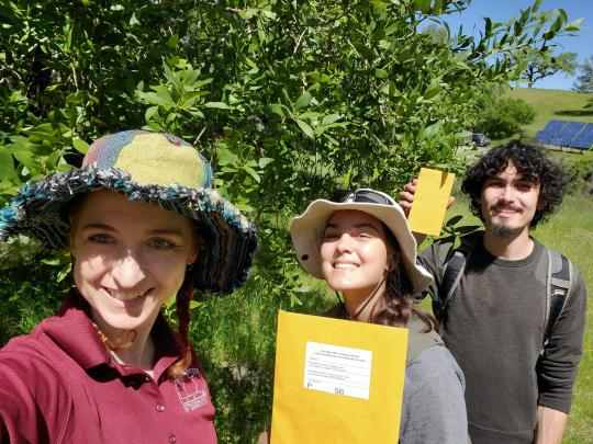 students with envelopes in front of a tree