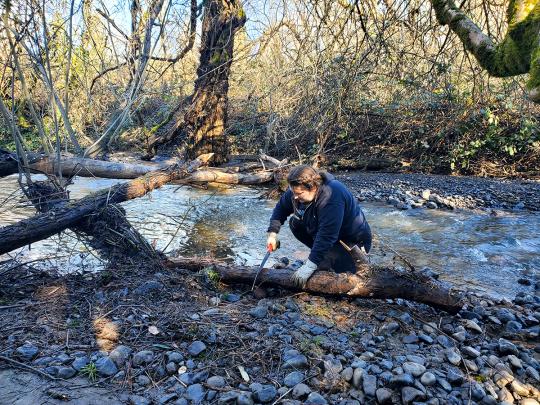 Copeland Creek student on log