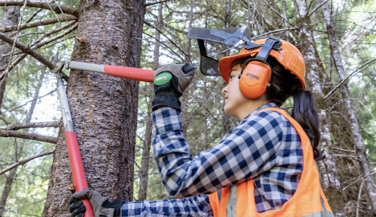 woman cuts a limb off a tree