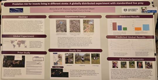 Predation risk for insects living in different strata: A globally distributed experiement with standardized live prey  Predation risk for insects living in different strata: A globally distributed experiement with standardized live prey