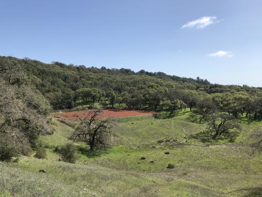 Fairfield Osborn Preserve