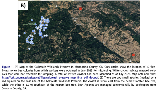 Map of Galbreath Preserve's free-living honeybee colonies