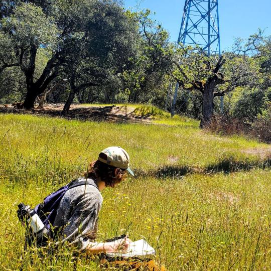 young man with notebook in field of flowers near utility tower