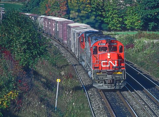 train with containers in front of trees
