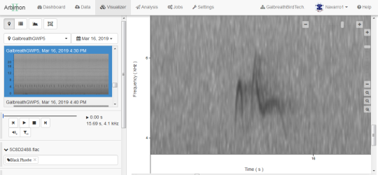 data analysis screen with sonogram of a bird call on right and editing features on left