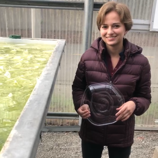 A woman holds a plastic plate next to vat of algae