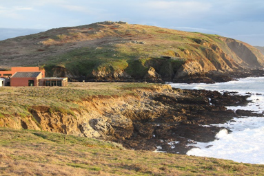 view of the rocky intertidal zone and a building on Bodega Bay