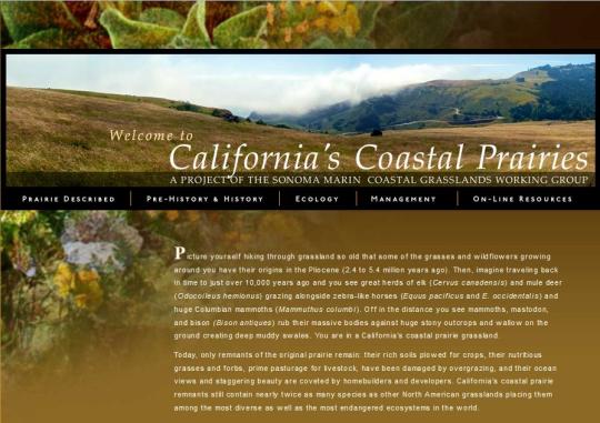 Coastal Prairie Website Homepage