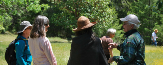 Several naturalist trainees listen to a leader in a sunny field