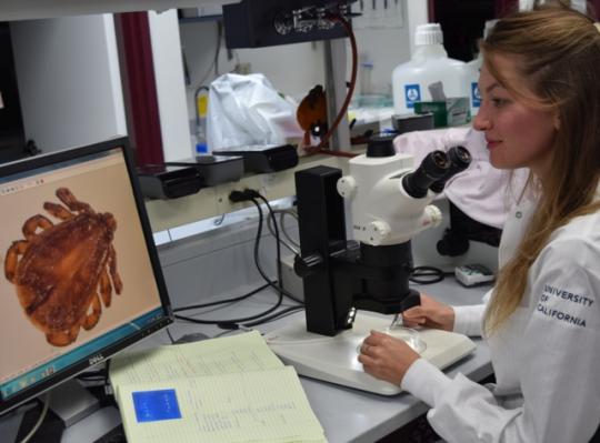 Woman in research lab looking at tick on computer screen
