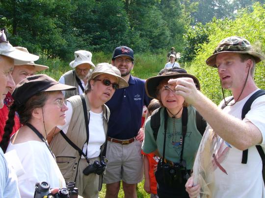 a naturalist holds up a live dragonfly to a crowd of hikers