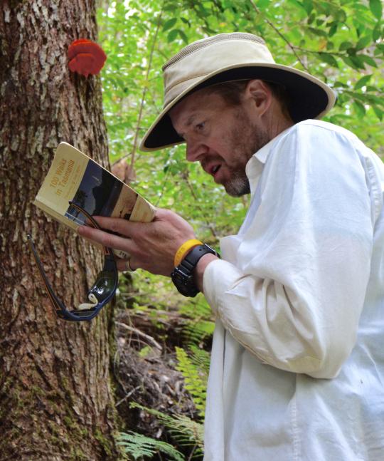 a researcher looks in a book next to a tree