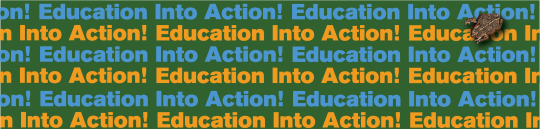 Education into Action masthead