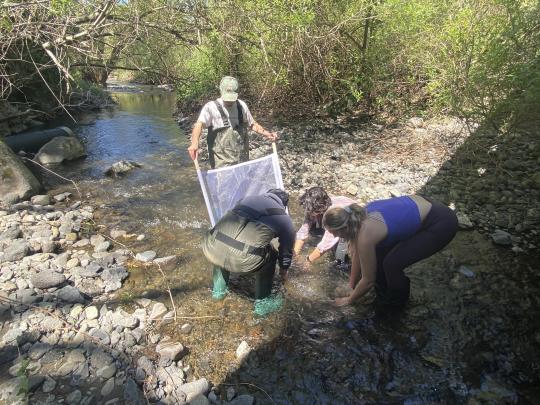 Students collecting Macroinvertebrate samples along Copeland Creek