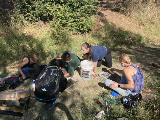 Students assessing samples along Copeland Creek