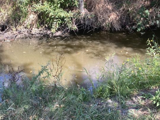 Copeland Creek site of Macroinvertebrate sampling