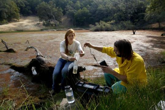 Students conducting water quality tests