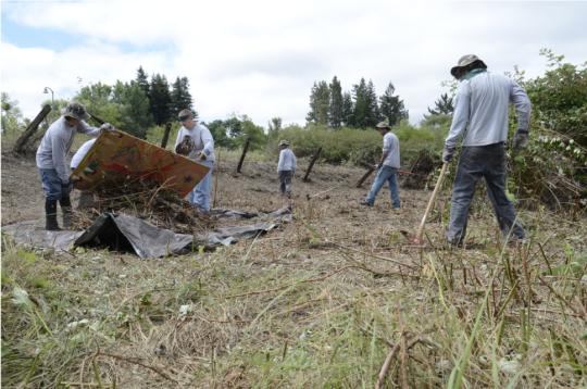 Ecology Corps