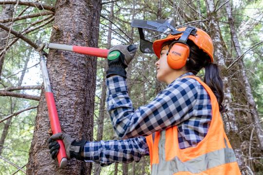 Student trimming tree at Galbreath Preserve