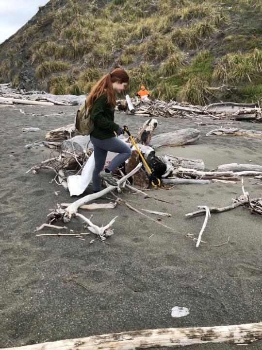 Researcher walking among driftwood