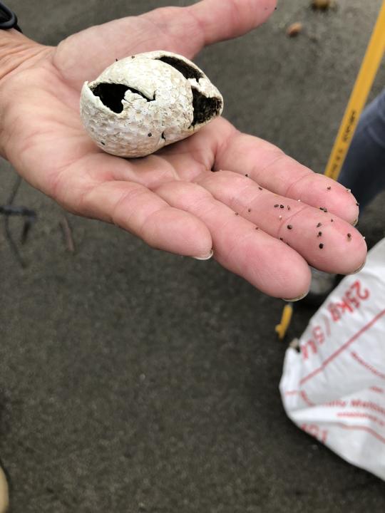 hand holding item