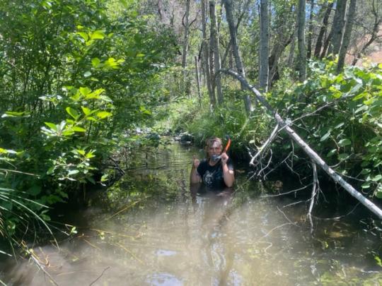 Beth Sabo studying Eggs and Larvae in Creek