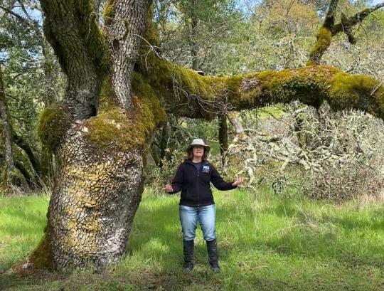 Woman in front of Osborn Tree