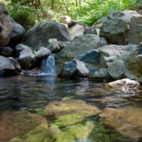 osborn copeland creek