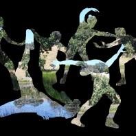 Performance in preserve cover photo