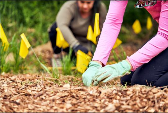 Students Emily Ledford and Savanna Thomas plant native species along Copeland Creek. Students grew the plants in their plant propagation course.