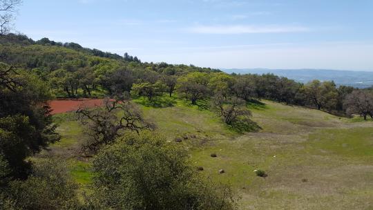 landscape view of grasslands, pond and woodland at Osborn Preserve