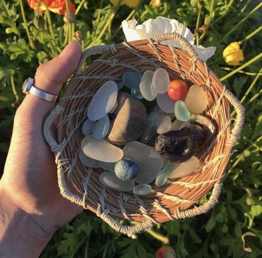 a naturalist holds a basket made of pine-needles