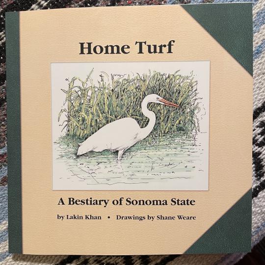 cover of book "Home Turf"