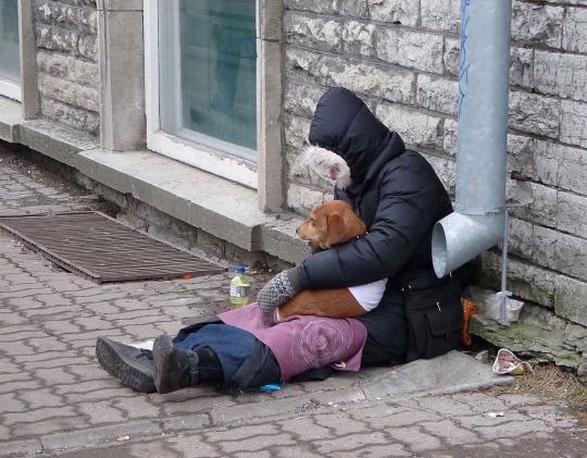 homeless woman and dog in winter clothes on sidewalk