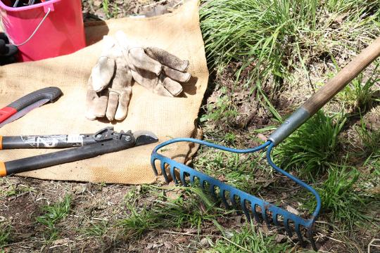 Tools in the SSU Butterfly Garden