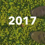 looking down on boots in field of flowers