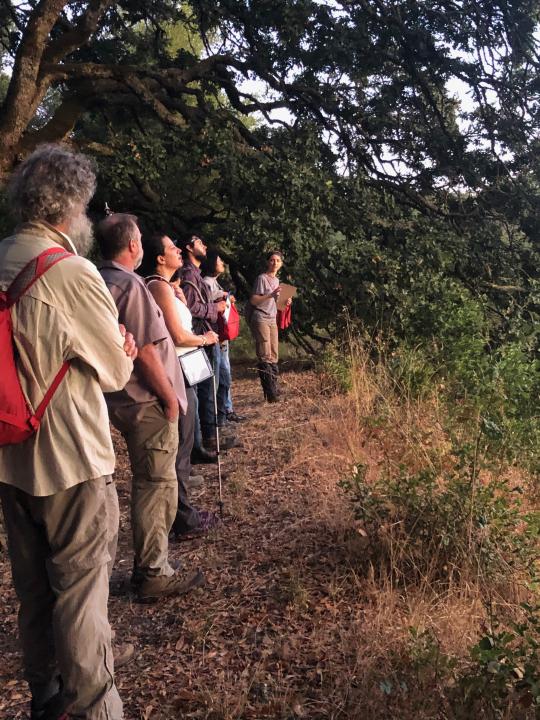 a group of hikers watch a sunset