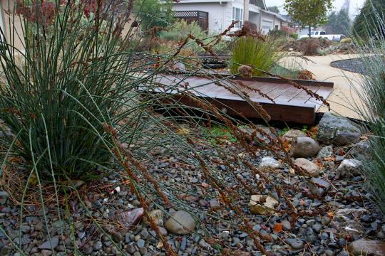 wet rain garden with sedge, rocks and footbridge