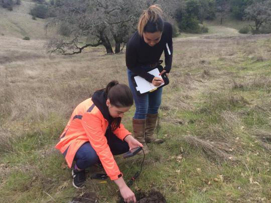 students looking at soil