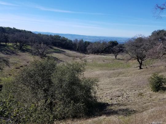 North and south slopes of the Osborn Preserve