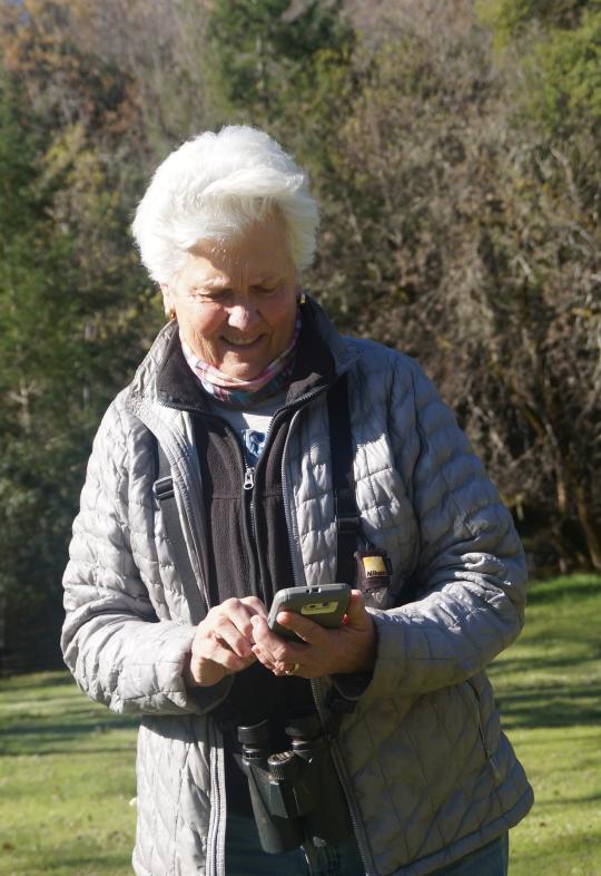 a birder looks at her smartphone in front of trees