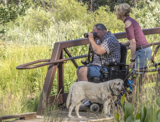 A woman and dog stand by a wheelchair user using a camera in a marsh