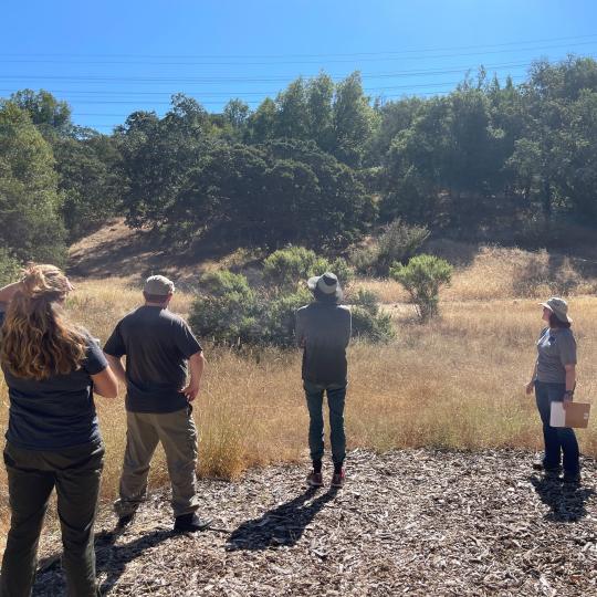 Osborn Naturalists observe oak tree shapes