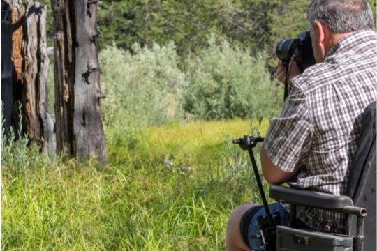 a photographer in a forest