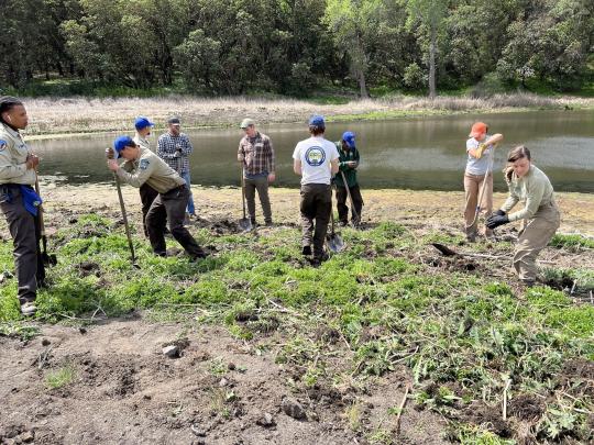 California Conservation Corps members with shovels near a pond