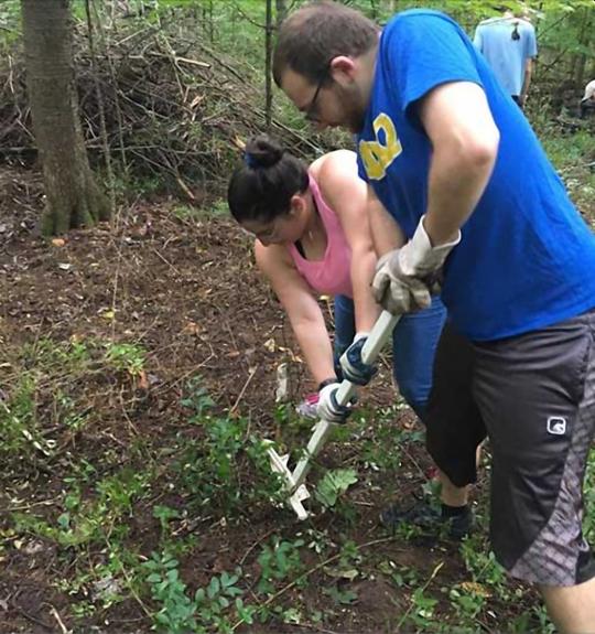 Two people use a pullbear to uproot vegetation in a forest