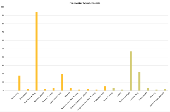 Graph of insect abundance