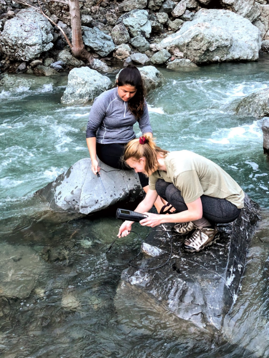 Students taking water samples in creek