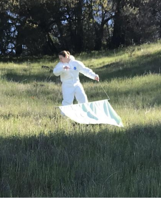 Student dragging canvas sheet over grass